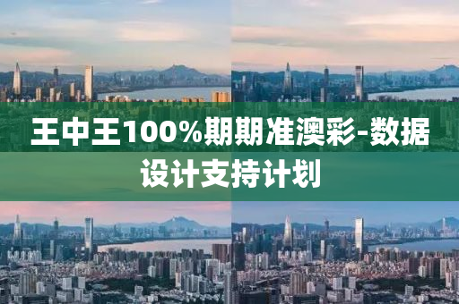 王中(zhong)王(wang)100%期(qi)期(qi)準(zhun)澳綵(cai)-數(shu)據(ju)設計(ji)支(zhi)持(chi)計(ji)劃