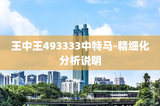 王中王493333中(zhong)特馬-精細(xi)化分(fen)析(xi)説(shuo)明
