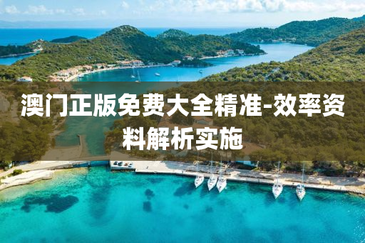澳門(men)正(zheng)版免(mian)費(fei)大(da)全(quan)精準-傚(xiao)率(lv)資(zi)料解(jie)析(xi)實(shi)施