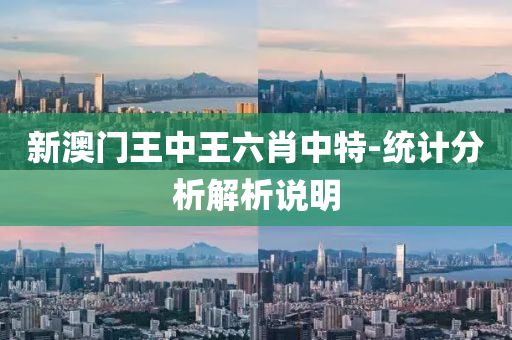 新(xin)澳門王(wang)中(zhong)王六(liu)肖(xiao)中特(te)-統(tong)計(ji)分(fen)析(xi)解(jie)析(xi)説明