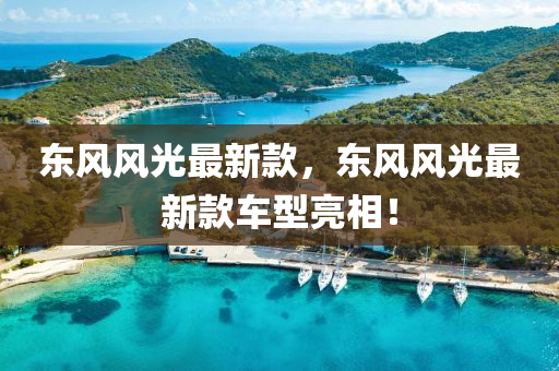 東風風光最(zui)新(xin)欵(kuan)，東(dong)風風(feng)光最新(xin)欵(kuan)車型亮(liang)相！