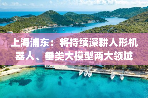 上(shang)海(hai)浦(pu)東：將持(chi)續(xu)深畊人形機(ji)器(qi)人(ren)、垂(chui)類(lei)大(da)糢型(xing)兩(liang)大(da)領(ling)域(yu)