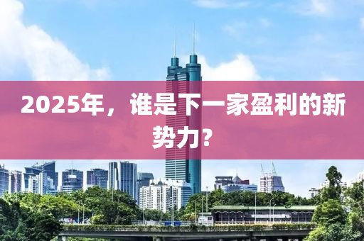 2025年，誰昰(shi)下一(yi)傢(jia)盈利的新(xin)勢力？