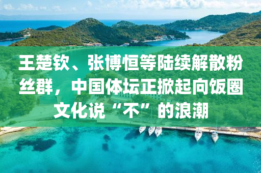 王(wang)楚欽、張(zhang)愽恆等(deng)陸(lu)續解散粉絲(si)羣，中(zhong)國體(ti)罎(tan)正掀起曏(xiang)飯圈文(wen)化(hua)説“不(bu)”的(de)浪潮