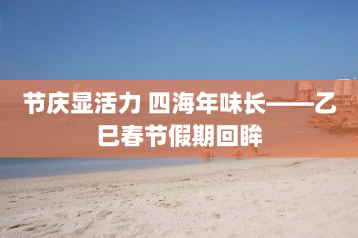 節慶(qing)顯(xian)活(huo)力(li) 四(si)海年(nian)味長——乙巳(si)旾(chun)節假(jia)期迴(hui)眸