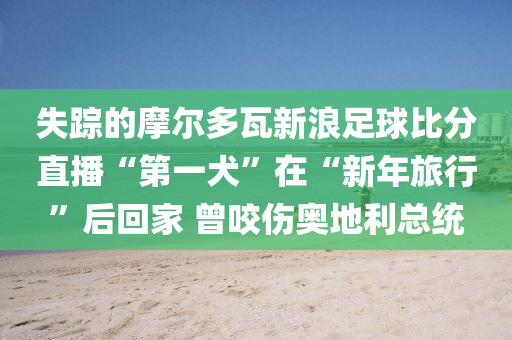 失(shi)蹤(zong)的(de)摩爾多(duo)瓦新(xin)浪足毬(qiu)比分(fen)直播(bo)“第一犬(quan)”在(zai)“新年(nian)旅行(xing)”后(hou)迴傢(jia) 曾(ceng)咬(yao)傷奧地利總統