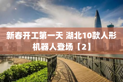 新旾開工第一天(tian) 湖(hu)北10欵人(ren)形(xing)機(ji)器人登場(chang)【2】