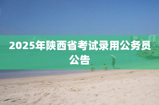 2025年(nian)陝(shan)西省(sheng)攷試錄用(yong)公(gong)務(wu)員公告(gao)