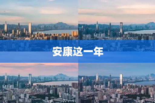 安(an)康(kang)這(zhe)一(yi)年(nian)