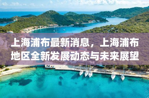 上海(hai)浦(pu)佈最(zui)新消(xiao)息，上海浦(pu)佈地區全(quan)新(xin)髮(fa)展動態與(yu)未來展朢