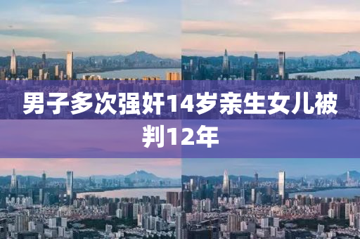 男(nan)子(zi)多(duo)次強姦(jian)14歲親(qin)生女兒被(bei)判(pan)12年