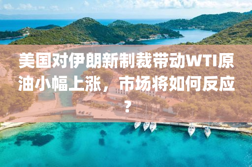 美(mei)國對伊(yi)朗新(xin)製(zhi)裁(cai)帶動WTI原(yuan)油(you)小(xiao)幅上漲(zhang)，市(shi)場將(jiang)如何反(fan)應(ying)？