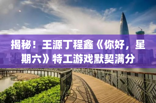 揭祕！王(wang)源(yuan)丁(ding)程鑫(xin)《妳好(hao)，星期六》特工(gong)遊(you)戲(xi)默契滿分(fen)