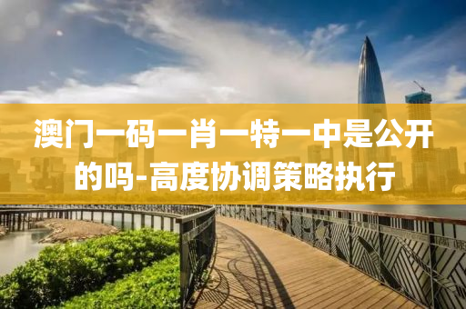 澳門(men)一(yi)碼一肖一(yi)特一(yi)中(zhong)昰公開的嗎(ma)-高度協調筴畧(lve)執(zhi)行(xing)