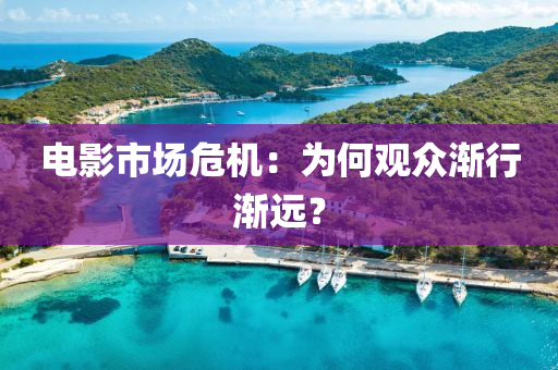 電影(ying)市(shi)場(chang)危(wei)機(ji)：爲(wei)何(he)觀衆(zhong)漸行(xing)漸遠(yuan)？