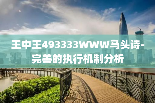 王中王493333WWW馬(ma)頭(tou)詩-完(wan)善的(de)執行機製(zhi)分析(xi)
