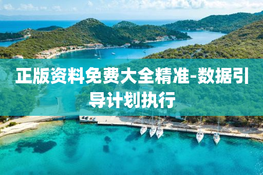 正(zheng)版(ban)資(zi)料免(mian)費大(da)全精(jing)準(zhun)-數據引(yin)導(dao)計劃(hua)執(zhi)行