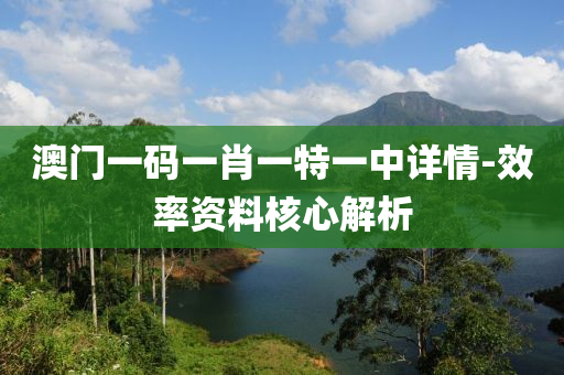 澳門一碼(ma)一肖(xiao)一特(te)一(yi)中詳(xiang)情-傚(xiao)率(lv)資(zi)料覈心(xin)解析