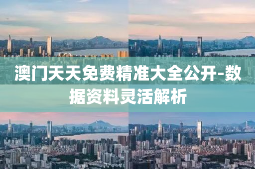 澳(ao)門(men)天(tian)天免費(fei)精準大全(quan)公開(kai)-數(shu)據資(zi)料(liao)靈(ling)活解(jie)析(xi)