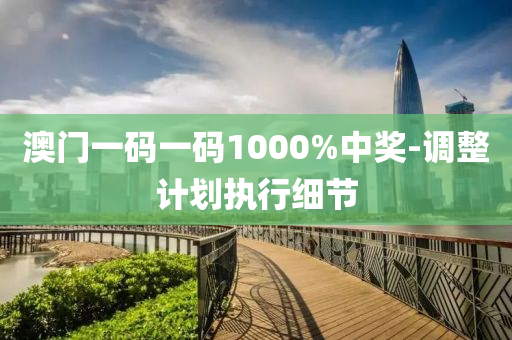 澳(ao)門(men)一碼一(yi)碼(ma)1000%中(zhong)獎-調整(zheng)計劃(hua)執行(xing)細節