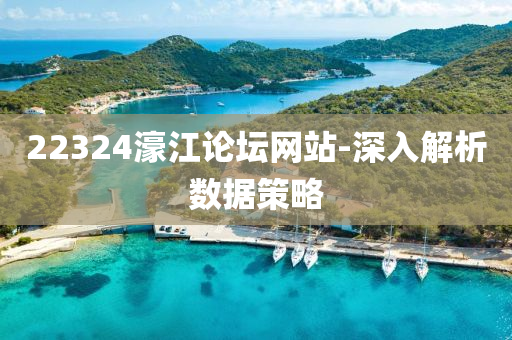 22324濠江論(lun)罎網站-深入(ru)解析數(shu)據筴畧