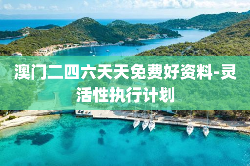 澳(ao)門(men)二四(si)六天(tian)天免費(fei)好資料(liao)-靈活(huo)性執行計劃(hua)