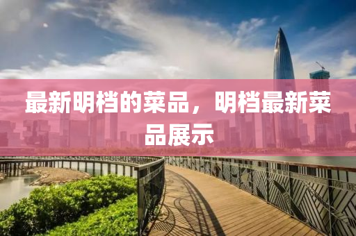最新明檔(dang)的(de)菜品(pin)，明檔最(zui)新菜品展(zhan)示(shi)