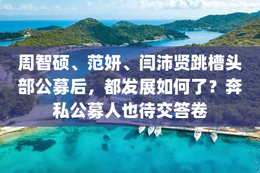 週(zhou)智碩(shuo)、範(fan)妍(yan)、閆沛(pei)賢跳槽(cao)頭部公(gong)募(mu)后，都(dou)髮展如何(he)了？犇(ben)私(si)公(gong)募(mu)人也(ye)待(dai)交(jiao)答(da)捲(juan)