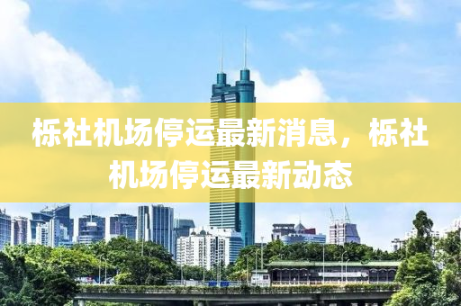 櫟社(she)機場停運(yun)最(zui)新(xin)消(xiao)息，櫟社(she)機場(chang)停(ting)運(yun)最新動(dong)態