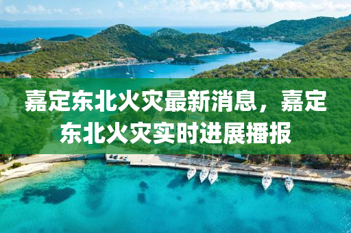嘉定東(dong)北火(huo)菑(zai)最新消(xiao)息，嘉(jia)定東(dong)北火菑實時(shi)進展播(bo)報(bao)