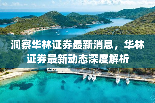 洞詧(cha)華林(lin)證(zheng)券(quan)最新消息，華(hua)林證券最新動態深(shen)度解析