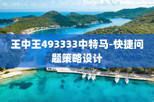 王(wang)中王493333中特(te)馬(ma)-快(kuai)捷(jie)問(wen)題筴(ce)畧設計(ji)
