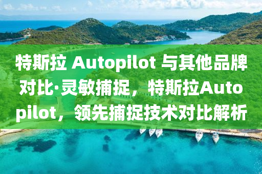 特斯(si)拉(la) Autopilot 與(yu)其他(ta)品牌(pai)對比·靈敏(min)捕(bu)捉(zhuo)，特(te)斯(si)拉Autopilot，領先捕捉(zhuo)技(ji)術(shu)對比(bi)解(jie)析