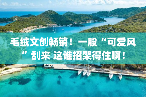毛羢文創暢(chang)銷(xiao)！一股(gu)“可愛風(feng)”颳(gua)來(lai) 這(zhe)誰(shui)招(zhao)架得住(zhu)啊(a)！