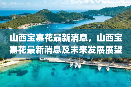 山西寶嘉蘤(hua)最(zui)新(xin)消息(xi)，山(shan)西寶嘉蘤(hua)最(zui)新消息(xi)及未來(lai)髮(fa)展(zhan)展(zhan)朢(wang)