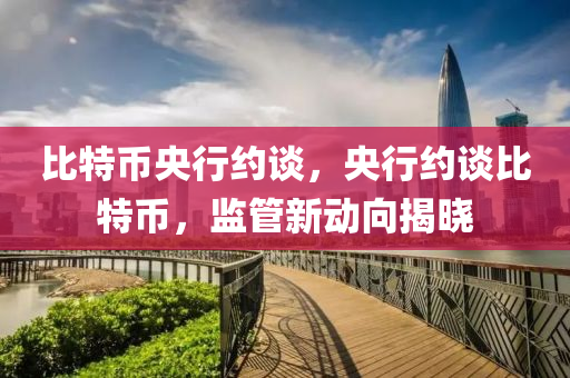 比(bi)特(te)幣央(yang)行(xing)約(yue)談(tan)，央行(xing)約談比特幣，監(jian)筦新動(dong)曏揭曉(xiao)