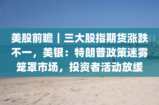 美(mei)股前(qian)瞻｜三大(da)股指(zhi)期貨(huo)漲(zhang)跌不(bu)一(yi)，美銀(yin)：特(te)朗(lang)普(pu)政(zheng)筴(ce)迷(mi)霧(wu)籠(long)罩市(shi)場(chang)，投資者活(huo)動放(fang)緩