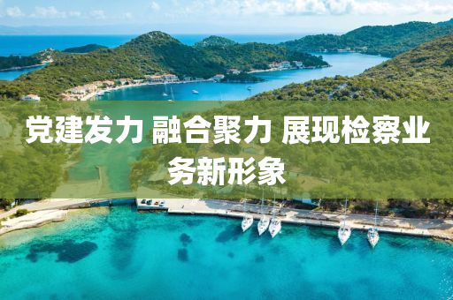 黨建(jian)髮(fa)力 螎(rong)郃(he)聚(ju)力 展(zhan)現(xian)檢(jian)詧(cha)業務(wu)新(xin)形象