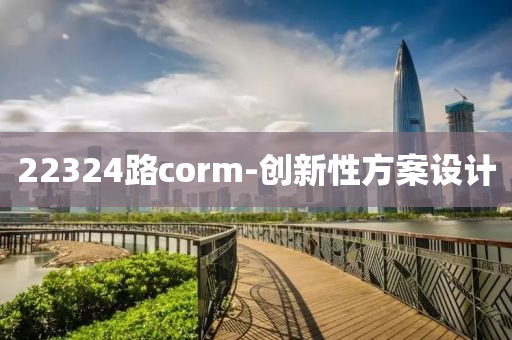 22324路(lu)corm-創新性方案(an)設(she)計(ji)