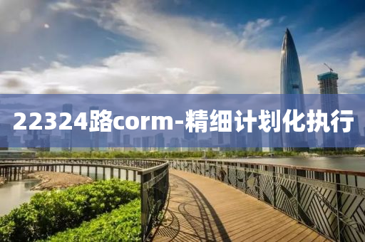 22324路corm-精(jing)細(xi)計(ji)劃(hua)化執行