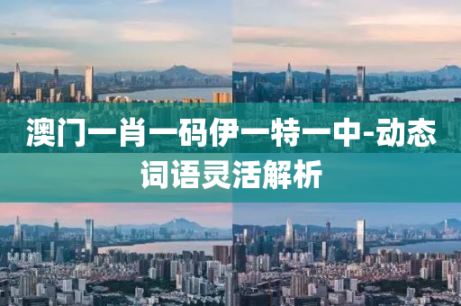 澳(ao)門(men)一(yi)肖(xiao)一碼伊(yi)一特(te)一(yi)中-動(dong)態詞語靈活解析(xi)