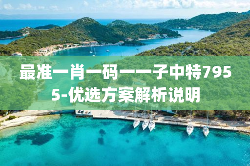最(zui)準一肖(xiao)一(yi)碼一一(yi)子中(zhong)特7955-優選方(fang)案(an)解(jie)析(xi)説明
