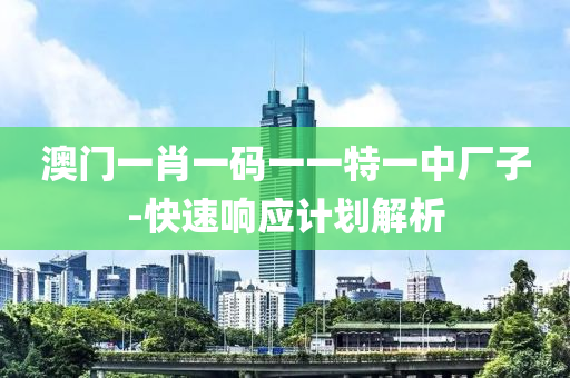 澳(ao)門一(yi)肖(xiao)一(yi)碼一(yi)一(yi)特(te)一(yi)中(zhong)廠(chang)子-快速(su)響應計(ji)劃(hua)解析(xi)
