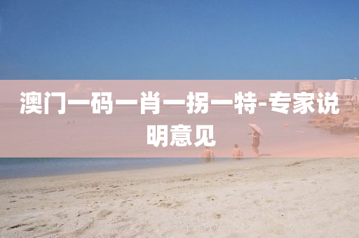 澳門(men)一碼一肖(xiao)一(yi)柺一特(te)-專傢説明意見