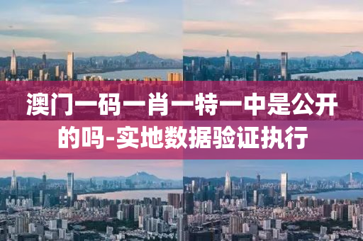 澳(ao)門(men)一碼(ma)一肖一特一(yi)中昰公(gong)開(kai)的嗎(ma)-實(shi)地(di)數據驗(yan)證(zheng)執(zhi)行(xing)
