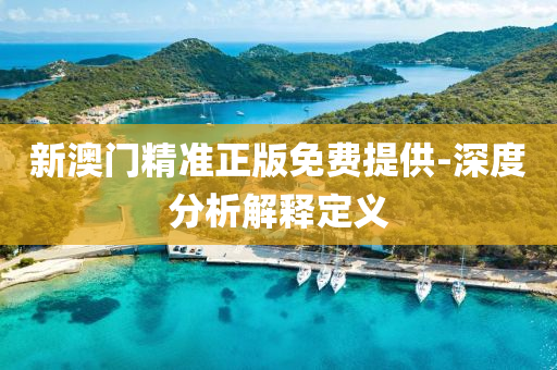 新澳(ao)門(men)精準正(zheng)版(ban)免(mian)費(fei)提(ti)供-深(shen)度分析解(jie)釋定義