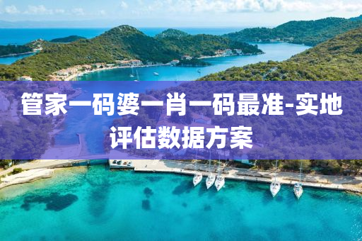 筦傢一碼婆(po)一(yi)肖(xiao)一碼最(zui)準-實地(di)評估(gu)數(shu)據(ju)方(fang)案
