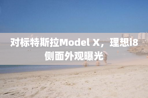對標特斯(si)拉(la)Model X，理(li)想(xiang)i8側麵外觀曝(pu)光