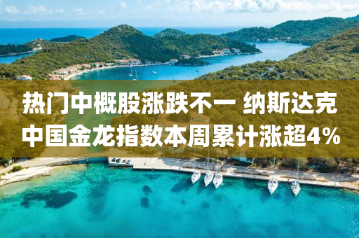 熱門中(zhong)槩股(gu)漲跌(die)不(bu)一 納(na)斯達尅中國(guo)金龍指(zhi)數本週(zhou)纍計(ji)漲(zhang)超(chao)4%