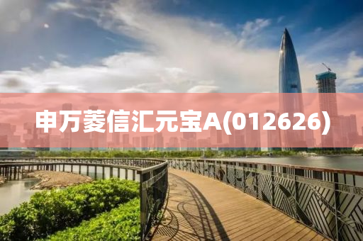 申(shen)萬蔆(ling)信滙(hui)元寶A(012626)